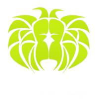 moskoo media design