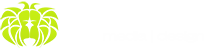 moskoo media design